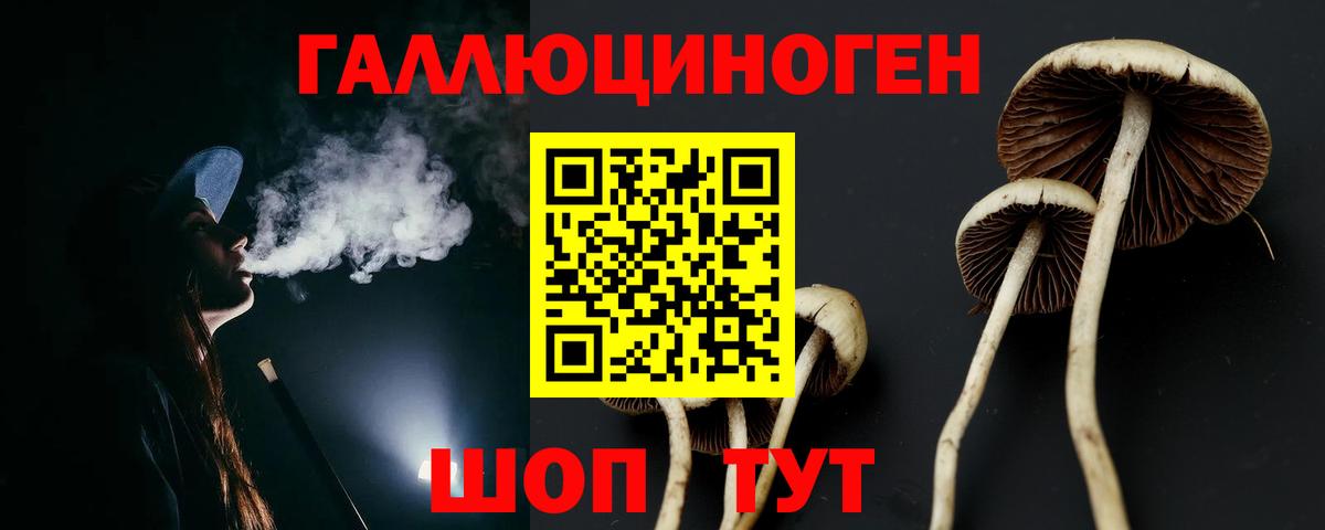Псилоцибиновые грибы Psilocybine cubensis  Галлюциногенные грибы мухоморы  Вход с VPN  Лесозаводск 