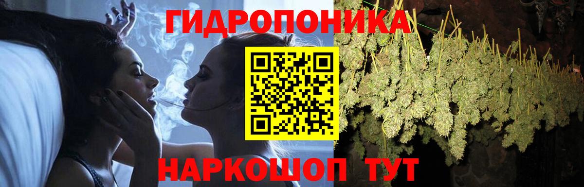 Бошки Шишки марихуана Лесозаводск